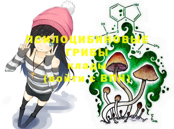 Альфа ПВП Абдулино