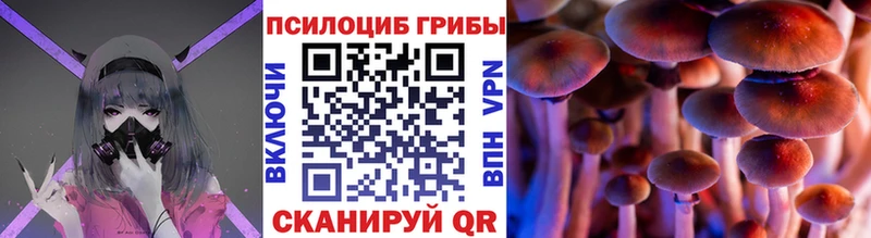 Галлюциногенные грибы мухоморы  цены   Кувшиново 
